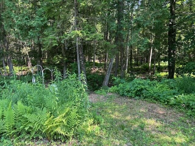 60 Dawes Rd, Dover-Foxcroft, ME 04426 - view of nature