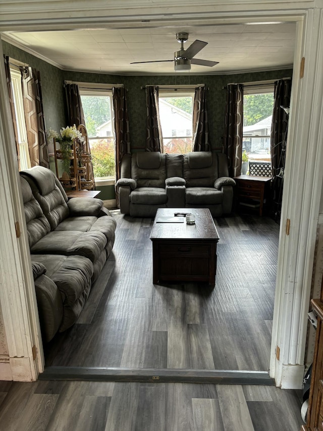 293 Grove St, Bangor, ME 04401 - living area with wallpapered walls, ceiling fan, and wood finished floors