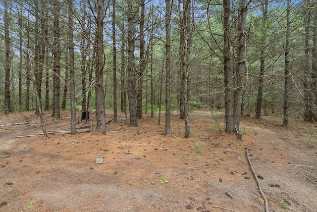 19 Straw Rd, Gorham, ME 04038 - view of woods