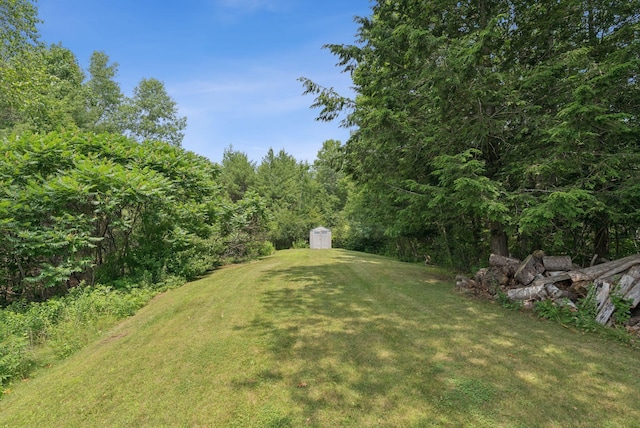 19 Straw Rd, Gorham, ME 04038 - view of grassy yard featuring a storage unit and a wooded view