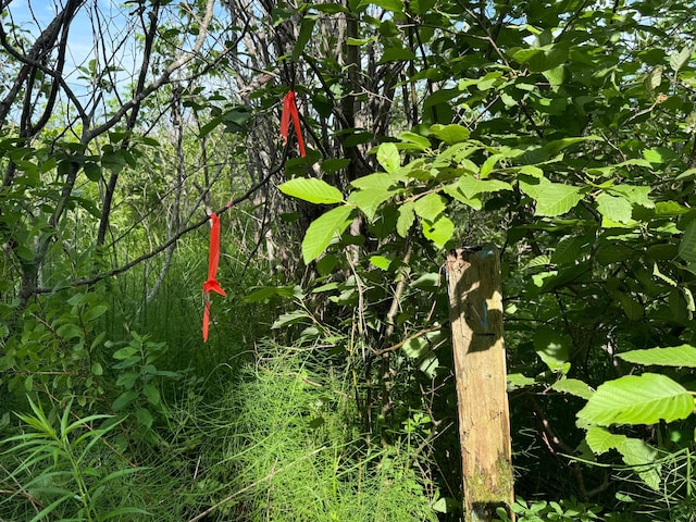 LOT37 Hewitt Rd, Dover-Foxcroft, ME 04426