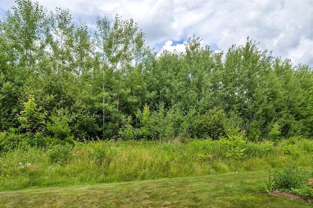 136-138 Blue Spruce Farm Rd, Westbrook, ME 04092 - view of undeveloped land