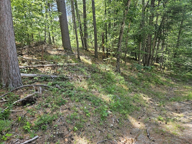 685 Crystal Ln, Waterboro, ME 04061 - photo 2