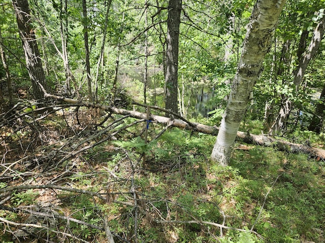 685 Crystal Ln, Waterboro, ME 04061 - photo 5