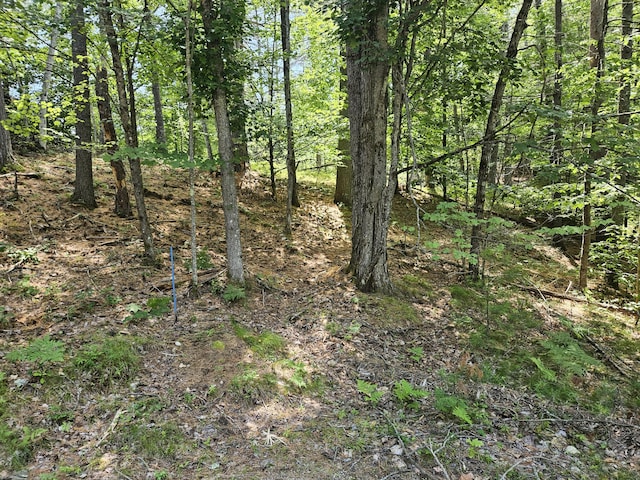 685 Crystal Ln, Waterboro, ME 04061 - photo 3