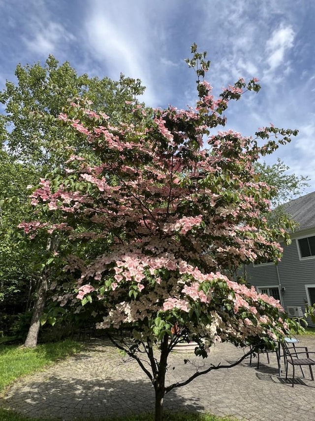 79 E Ridge Rd Unit 104, Southwest Harbor, ME 04679 - photo 10