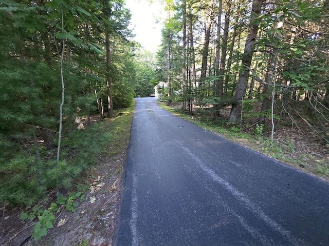 100 Woods Rd, Falmouth, ME 04105 - photo 4
