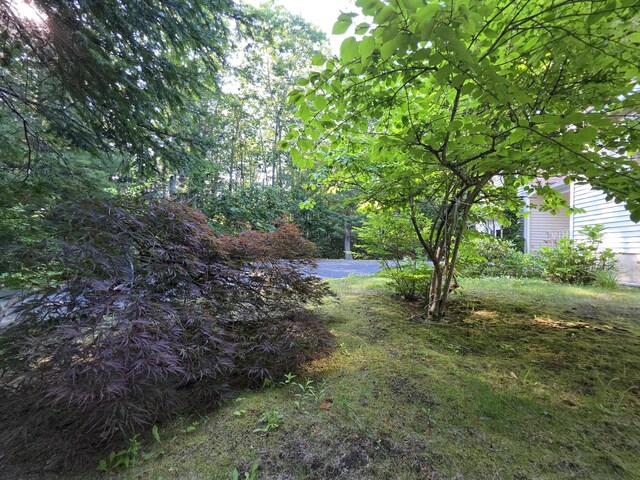 100 Woods Rd, Falmouth, ME 04105 - photo 37