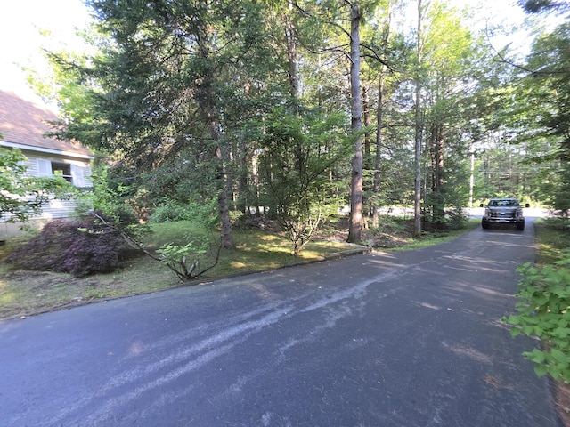 100 Woods Rd, Falmouth, ME 04105 - photo 41