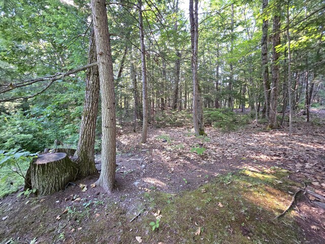100 Woods Rd, Falmouth, ME 04105 - photo 53