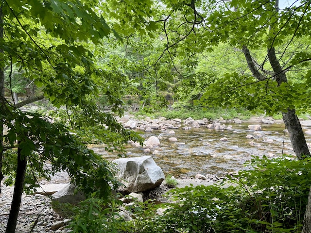 53 Main St, Phillips, ME 04966 - view of tree filled area