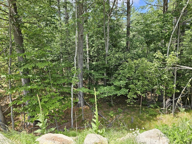 386 Lenox Cir, Waterboro, ME 04061 - photo 1