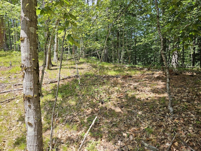 386 Lenox Cir, Waterboro, ME 04061 - photo 6