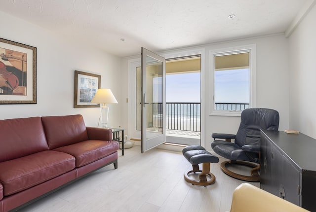191 E Grand Ave Unit 506, Old Orchard Beach, ME 04064 - living room with light wood-type flooring