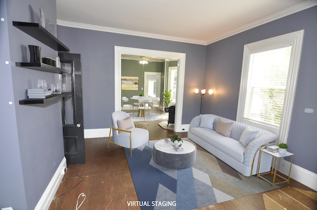 56 Holyoke St, Brewer, ME 04412 - living room with plenty of natural light, dark wood-type flooring, and crown molding
