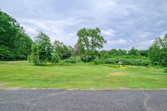 704 Brighton Hill Rd, Minot, ME 04258 - view of green lawn