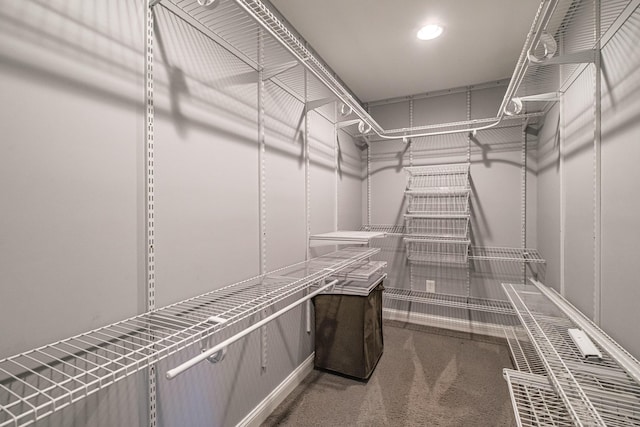 704 Brighton Hill Rd, Minot, ME 04258 - spacious closet with carpet