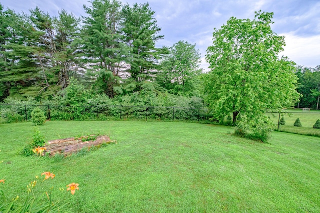 704 Brighton Hill Rd, Minot, ME 04258 - view of yard