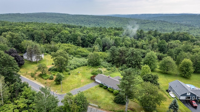 704 Brighton Hill Rd, Minot, ME 04258 - aerial view of a heavily wooded area