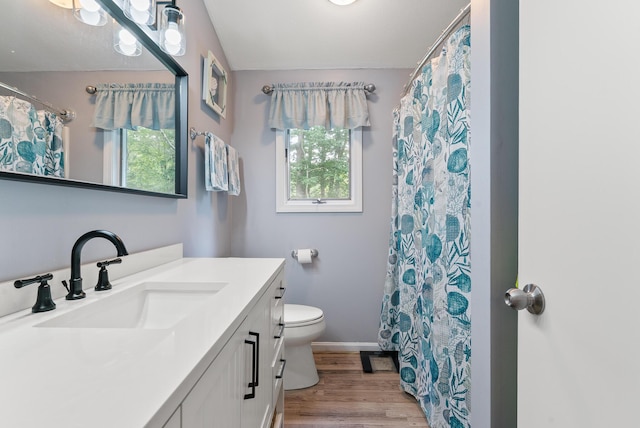 68 Appletree Ln, Wells, ME 04090 - bathroom with vanity, wood finished floors, and a shower with curtain