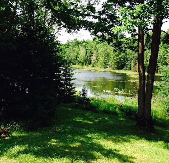 189 Hinks Rd, Jefferson, ME 04348 - photo 71
