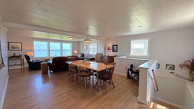 9 County Rd, Lubec, ME 04652 - dining area with crown molding and light wood-type flooring
