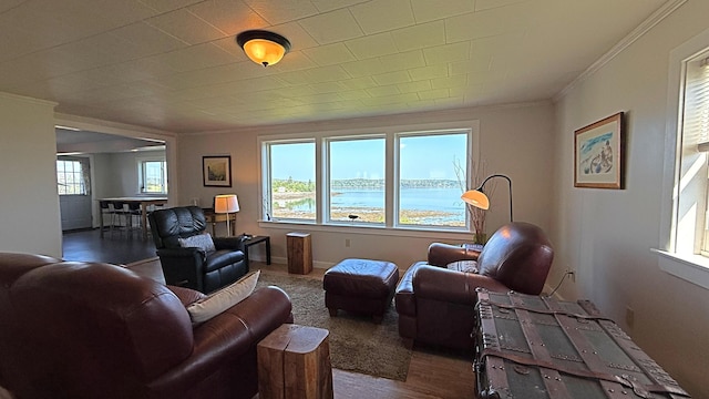 9 County Rd, Lubec, ME 04652 - living room with ornamental molding, wood finished floors, and a water view