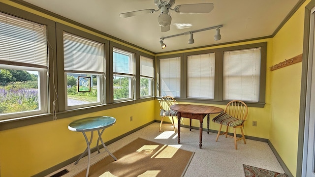 9 County Rd, Lubec, ME 04652 - sunroom with rail lighting and carpet flooring