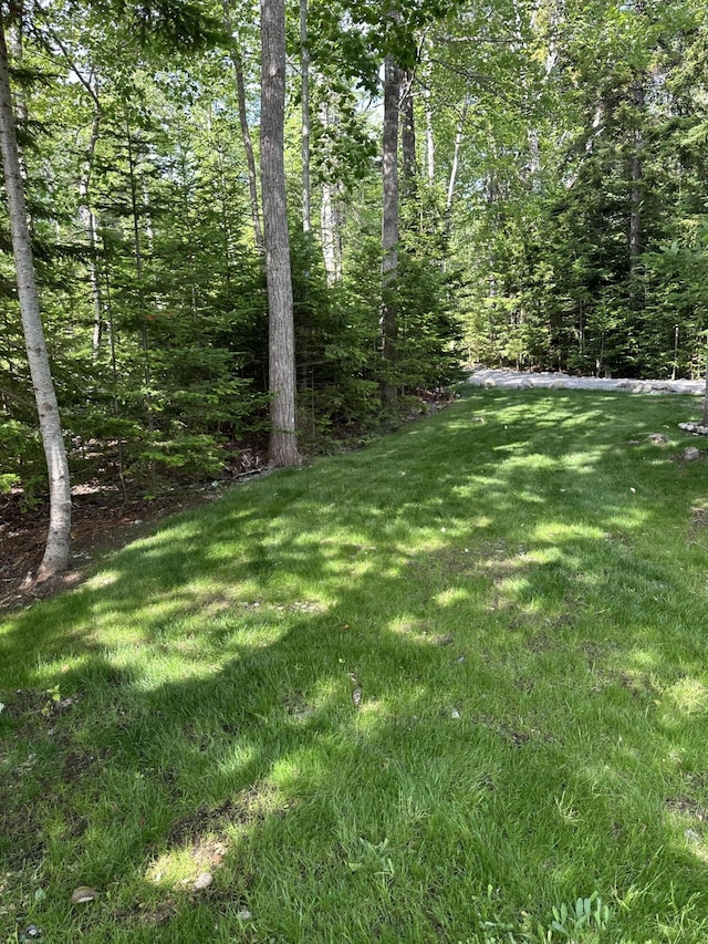 LOT178 Rays Point Rd, Milbridge, ME 04658