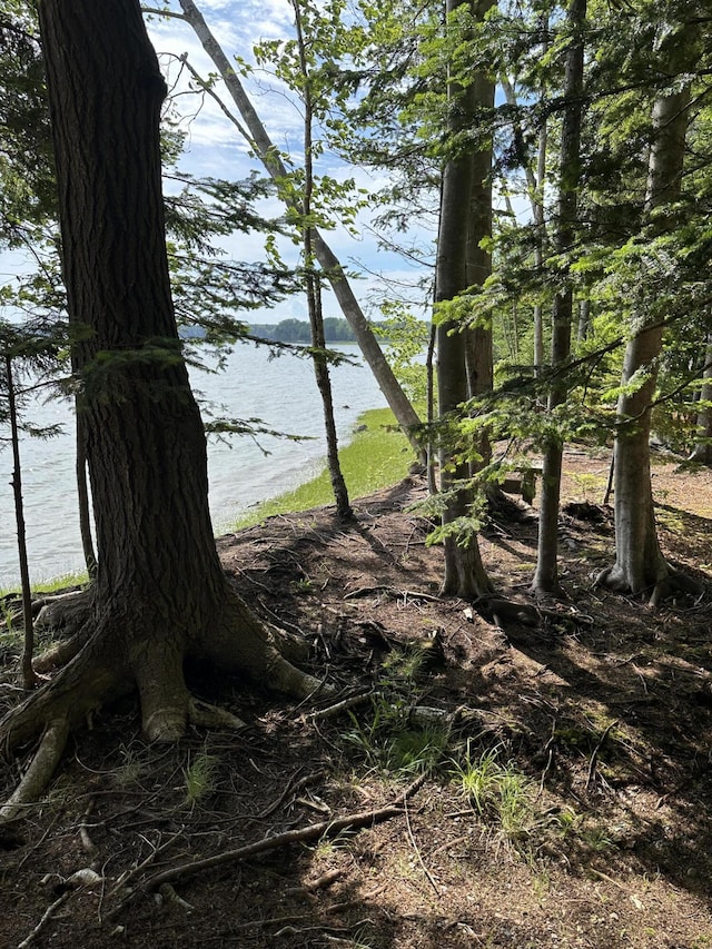 LOT178 Rays Point Rd, Milbridge, ME 04658