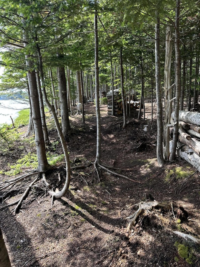 LOT178 Rays Point Rd, Milbridge, ME 04658