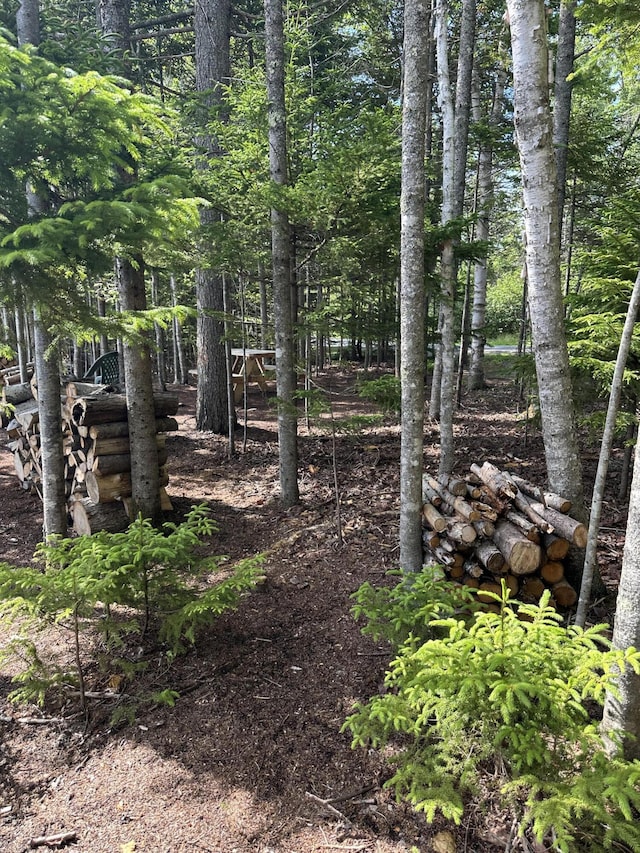 LOT178 Rays Point Rd, Milbridge, ME 04658