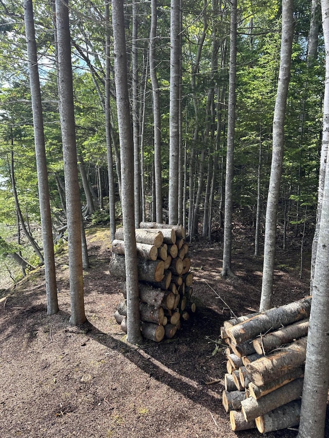 LOT178 Rays Point Rd, Milbridge, ME 04658