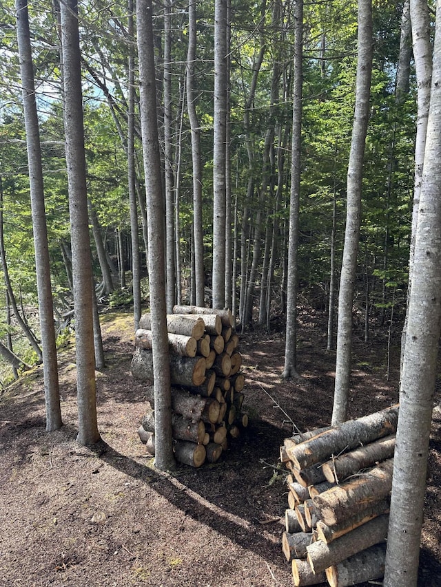 LOT178 Rays Point Rd, Milbridge, ME 04658