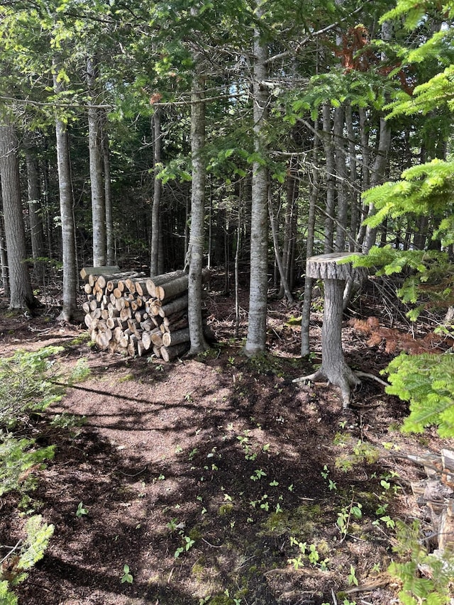 LOT178 Rays Point Rd, Milbridge, ME 04658
