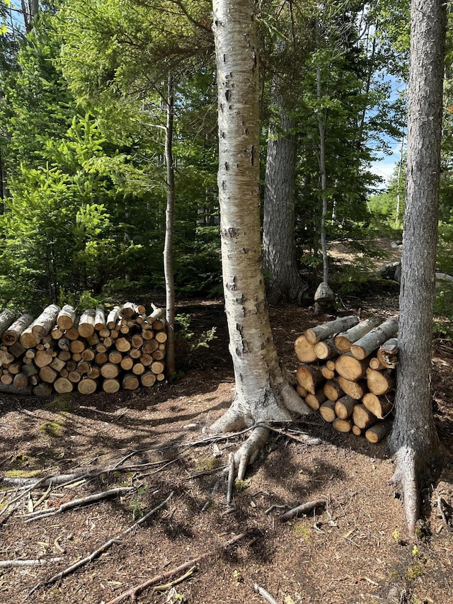 LOT178 Rays Point Rd, Milbridge, ME 04658