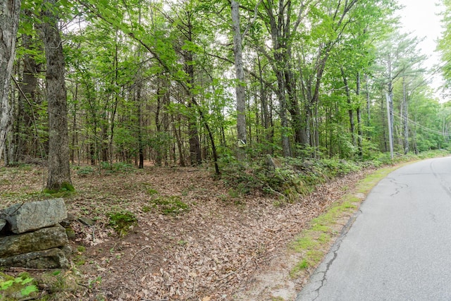 M3L34-2 Hooper Rd, Shapleigh, ME 04076 - photo 2