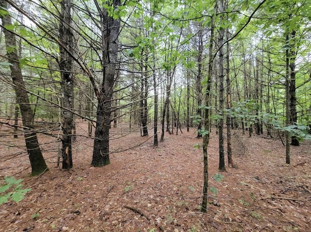 M3L34-2 Hooper Rd, Shapleigh, ME 04076 - photo 5