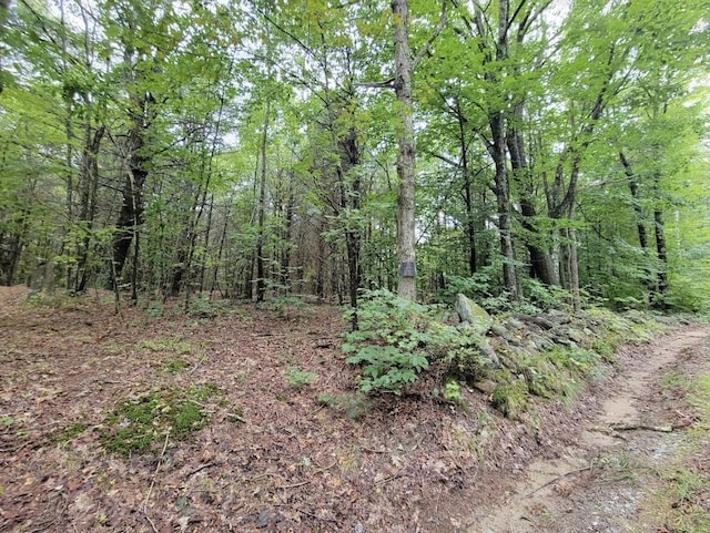M3L34-2 Hooper Rd, Shapleigh, ME 04076 - photo 9