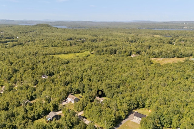 129 Beaver Creek Farm Rd, Bridgton, ME 04009 - photo 21