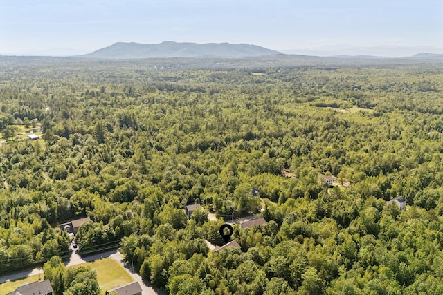 129 Beaver Creek Farm Rd, Bridgton, ME 04009 - photo 22