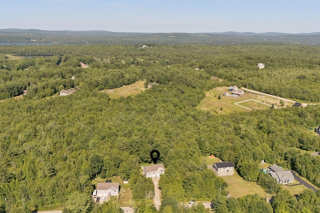 129 Beaver Creek Farm Rd, Bridgton, ME 04009 - photo 23