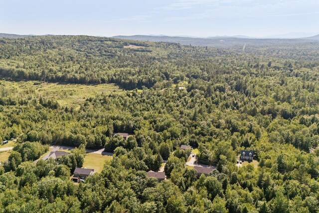 129 Beaver Creek Farm Rd, Bridgton, ME 04009 - photo 24