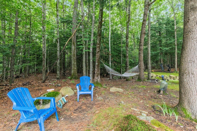 37 Birch Forest Dr, Standish, ME 04084 - photo 9