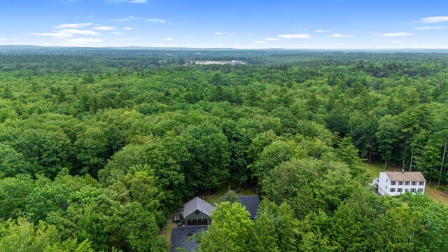 37 Birch Forest Dr, Standish, ME 04084 - photo 60
