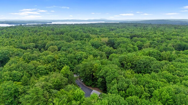 37 Birch Forest Dr, Standish, ME 04084 - photo 61