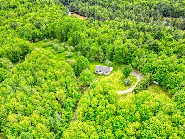 23 Mccutcheon Way, Sidney, ME 04330 - bird's eye view of a forest