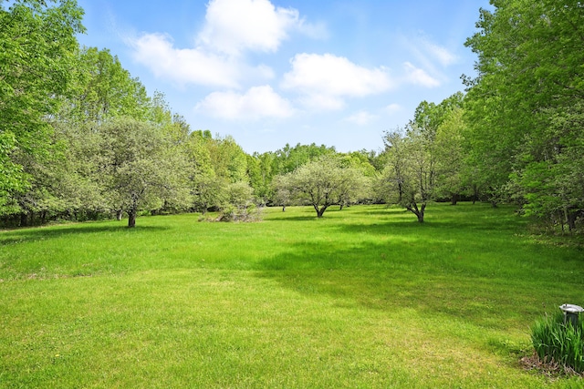 23 Mccutcheon Way, Sidney, ME 04330 - view of green lawn