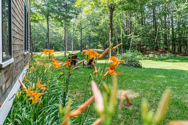 180 Clay Hill Rd, York, ME 03902 - photo 35