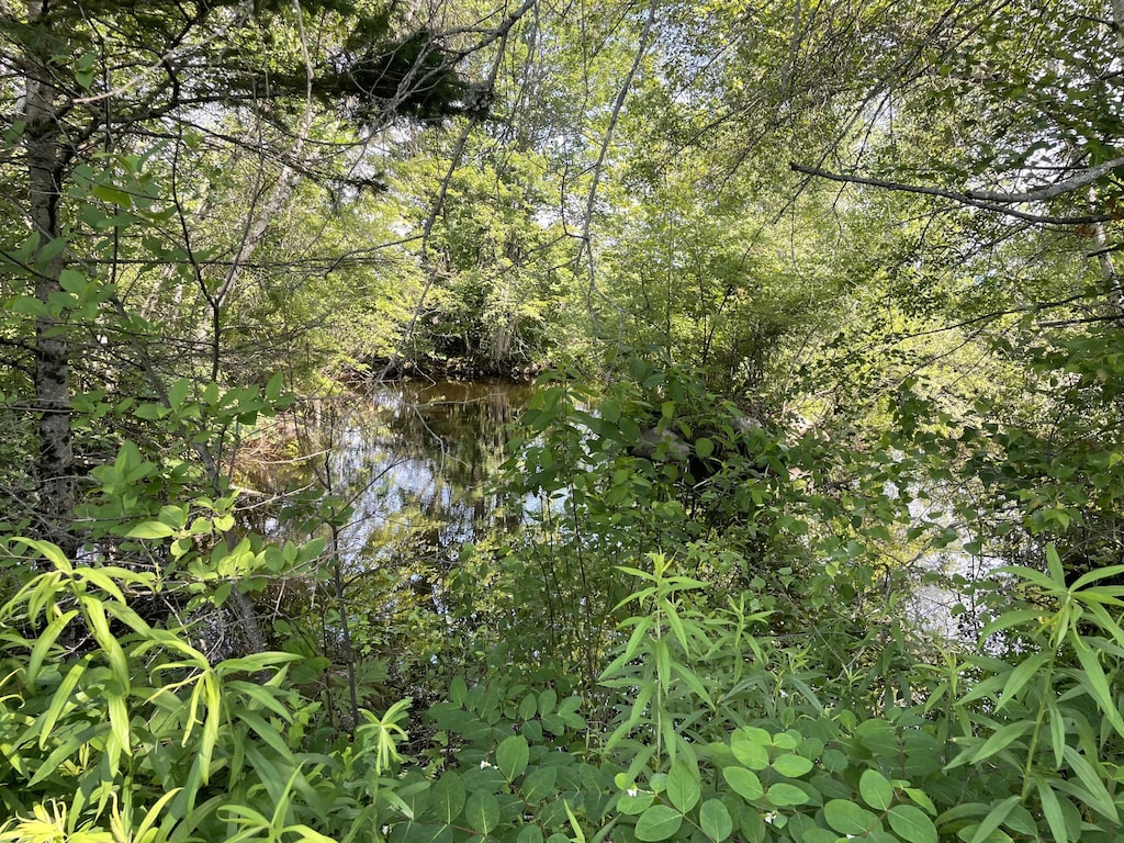 61 Industrial Park St, Pittsfield, ME 04967 - photo 3